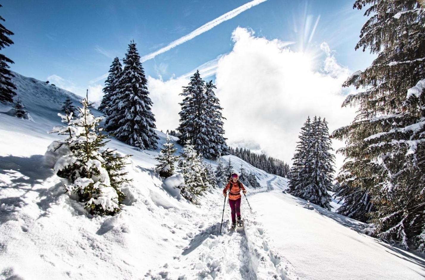 Toison Blanche Tba3 Cosy & Mountain 4 Pers Daire Châtel Dış mekan fotoğraf
